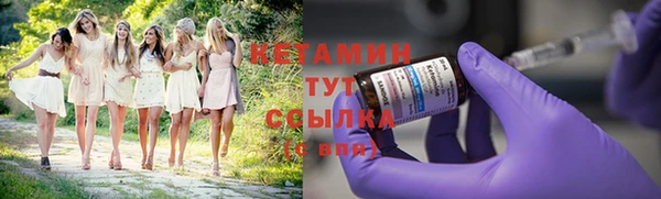 стаф Пересвет