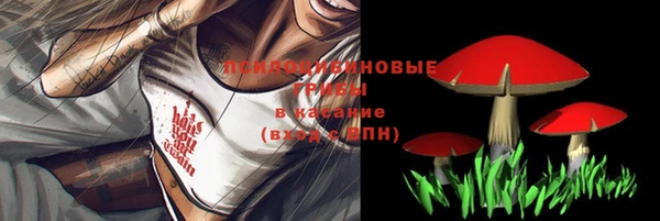таблы Пестово