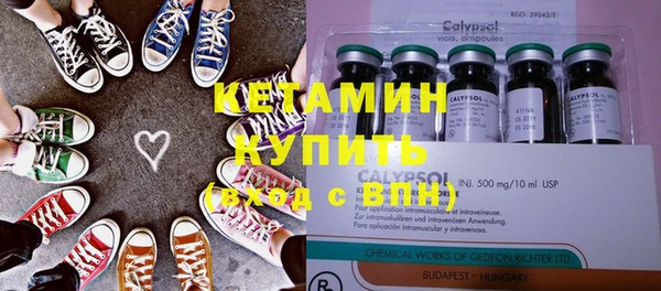 стаф Пересвет