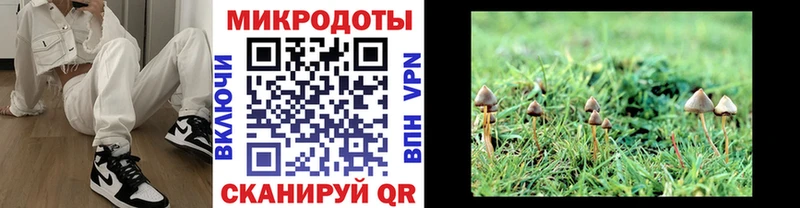 Галлюциногенные грибы GOLDEN TEACHER  Купить где  Рыбинск 