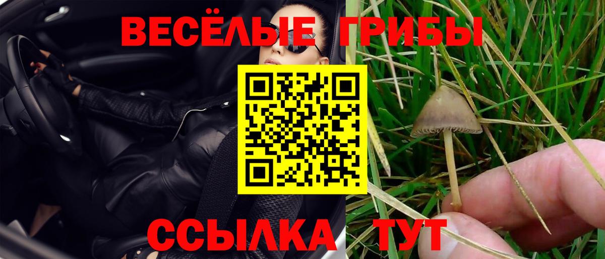 закладки  Вход с VPN  Рыбинск  Галлюциногенные грибы Psilocybe 